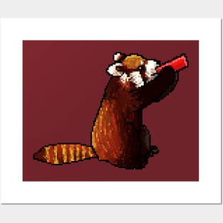 Red panda drinking from a red can Posters and Art